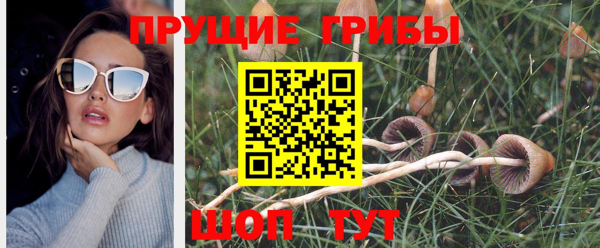 Галлюциногенные грибы мухоморы  Псилоцибиновые грибы MAGIC MUSHROOMS  Вход с VPN  Ивантеевка 